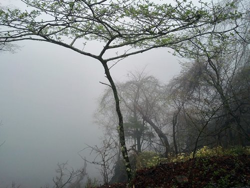 霧で見えない華厳の滝