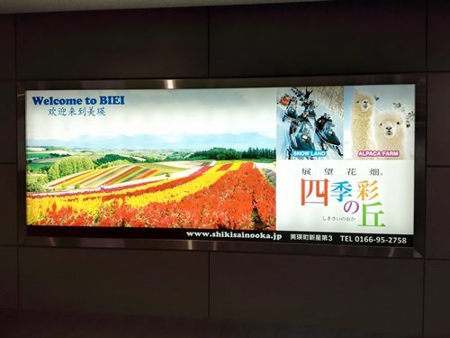四季彩の丘広告