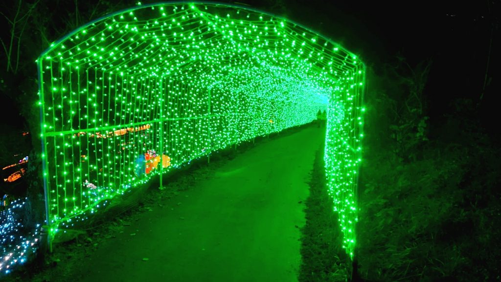 光のトンネル緑