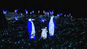 光の動物園「ペンギン」